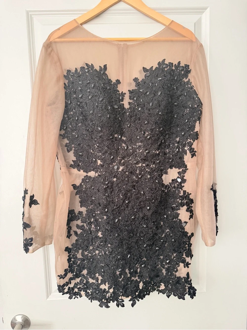 Sheer Nude Long-Sleeve Dress with Black Lace Appliqué